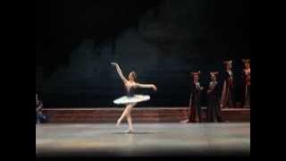 Raymonda  selections 4  Svetlana Zakharova Andrei Uvarov  Tokyo 2004 [upl. by Akinod]