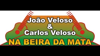 PROGRAMA NA BEIRA DA MATA 30 DE NOVEMBRO DE 2024 [upl. by Nottirb141]