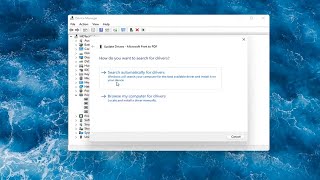 Wie behebt man den Fehler quotDrucker kann nicht über das Windows 11 [upl. by Pilar]