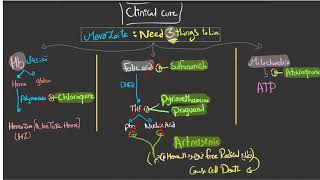 Antimalarial drugs [upl. by Eedyaj]