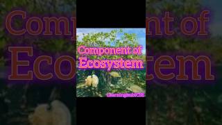 component of ecosystem  Biotic environment vs abiotic environment [upl. by Tiertza]