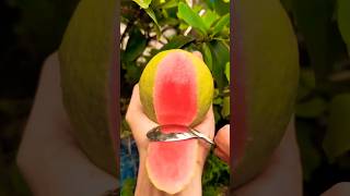 Tasting guava  Its really healthier 142shorts fruit fruitcutting satisfying 8ballpool [upl. by Aissirac881]