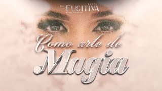 Como Arte De Magia VIDEO OFICIAL  La Fugitiva De Mike Miramontes [upl. by Analaj]