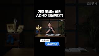 사람들이 잘 모르는 ADHD 진짜 특징 [upl. by Tipton132]