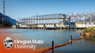 Energy Systems Engineering at Oregon State University [upl. by Jess]