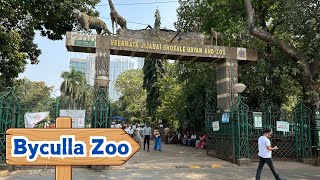 Byculla Zoo Mumbai  Rani Baug Zoo  Veermata Jijabai Bhosale Botanical Udyan and Zoo  Mumbai Zoo [upl. by Ninerb]