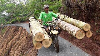 Extreme OffRoad Bikes Moving Tons of Logs in Mountain [upl. by Atsed576]