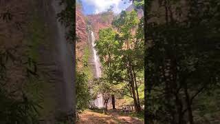 Wli waterfall one of the highlights waterfall in west africa visitghana [upl. by Aihselef]