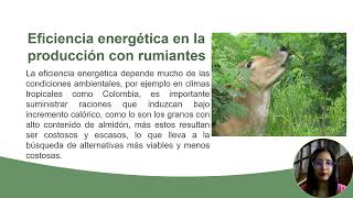 UNADPresentación Curso de Nutrición de Rumiantes Tarea 04 [upl. by Valenba]