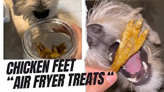 Boost Your Dogs Health with CollagenRich Chicken Feet Treats Airfryer edition [upl. by Jocelin]