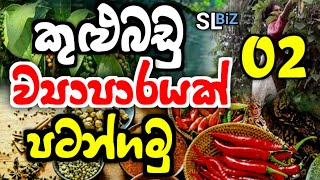 ලක්ෂ ගණන් ලාභ තියෙන කුළු බඩු ව්‍යාපාරය  Business Ideas Sinhala  kulubadu Business Sinhala  SL BiZ [upl. by Hitoshi681]