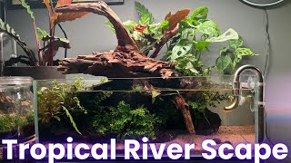 Tropical River Scape  Ultra flaches Aquascape  Blau Aquaristik 45F [upl. by Makell]