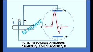 Méthode1 pour obtenir un Potentiel daction diphasique NIVEAU TS [upl. by Ramirol]