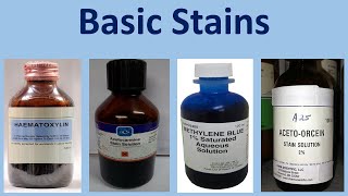 Basic Stains [upl. by Ilke]