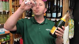 Campo Viejo Cava Brut Reserva  One Minute of Wine Episode 333 [upl. by Eenat]