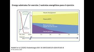 Sustratos y sistemas energéticos durante el ejercicio [upl. by Lorrac265]