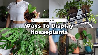 Upgrade Your Home with THESE Indoor Plant Display Tricks [upl. by Nodyl]