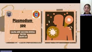 Plasmodium sppPIA Microbiología [upl. by Ame]