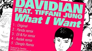 Davidian  What I Want feat Tiffani Juno [upl. by Annehs]