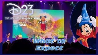 D23 Ultimate Fan Event  What to Expect  Anaheim California 2024 [upl. by Eynttirb706]