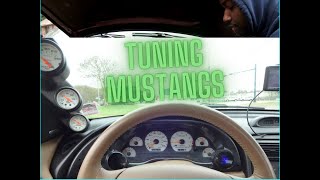 How to Tune you Fox Body New Edge or SN95 Mustang [upl. by Ala638]