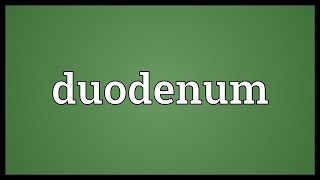 Duodenum Meaning [upl. by Oicnaneb]