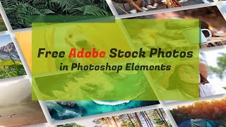 Free Adobe Stock photos in Adobe Photoshop Elements [upl. by Ittak]