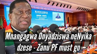 Mnangagwa Onyadziswa neNyika dzese  Zanu PF must go 🇿🇼 [upl. by Jaddan]