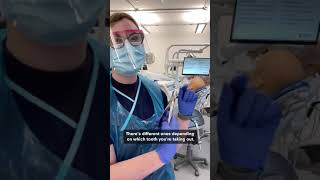 How do dentists extract a molar tooth [upl. by Ojok]