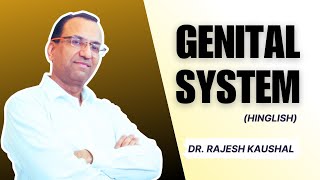 Histology of quotGenital Systemquot Explained in Hinglish by Dr Rajesh Kaushal  213 [upl. by Nirehtak]