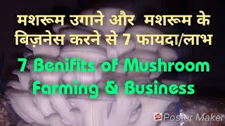 मशरूम उगाने और मशरूम के बिज़नेस करने से 7 फायदालाभ  7 Benifits of Mushroom Farming amp Business [upl. by Milstone]