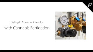 Cannabis Fertigation Walkthrough [upl. by Hadeehuat]