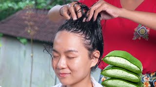 ASMR  12 Hair Treatment using fresh aloe vera [upl. by Ahsoem]