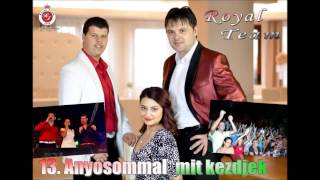 Royal Team  OFFICIAL audio 2015   Anyósommal mit kezdjek  saját dal [upl. by Rehpinnej]