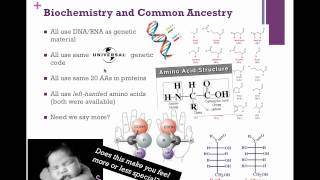 Cladistics IB Biology [upl. by Nomyt14]