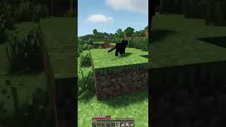 TONCHI TONCHI minecraft gatos mascotas survival shorts [upl. by Laekcim121]