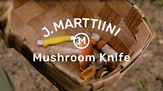 Marttiini Mushroom Knife [upl. by Atteloiv]