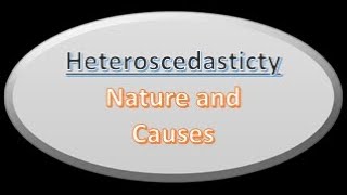 Econometrics Lecture on Heteroscedasticity Its Nature and Causes [upl. by Adnolohs]