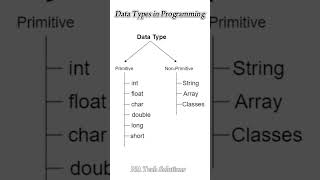 Data Types in Programming  Quick Overview with Diagram [upl. by Eveline318]