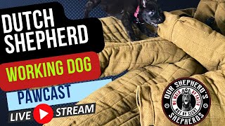 Our Shepherds Shepherds LLC is live Everything Dutch Shepherd and working dog with Luve QampA [upl. by Farmelo]