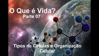 O Que é Vida 07  Tipos de Células e Organização Celular [upl. by Imoan83]