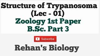 Trypanosoma gambiens Morphology amp structure By Rehan Sir BScpart3 Zoology1stPaper Trypanosoma [upl. by Erbas]