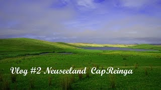 Neuseeland Vlog 2  Was ist mit meinen Füssen Cap Reinga [upl. by Nodarse]