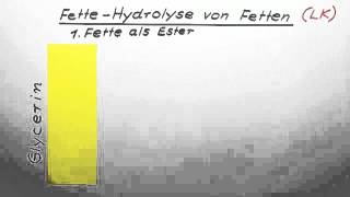 Hydrolyse von Fetten LK  Chemie  Organische Chemie [upl. by Llennyl198]