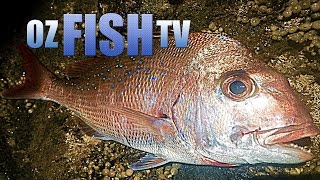 Oz Fish TV Season 3 Episode 8  Corinella Rock Fishing [upl. by Eilatam]