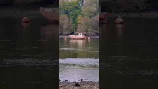 River Thames Richmond South Bank travel autumn thames boat river [upl. by Melleta]