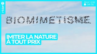 Biomimétisme ou imiter la nature à tout prix ⌚  Matière Grise [upl. by Ecnedurp873]