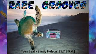 Teen Beat  Sandy Nelson 957 BPM [upl. by Tombaugh]