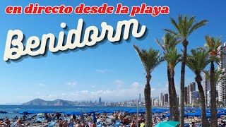 BENIDORM EN VIVO 🇪🇸 CÁMARA 2 🇪🇸 Transmisión el 12 de noviembre de 2024 1 [upl. by Lilithe]