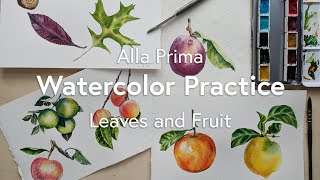 Watercolor Painting Practice  Autumn Leaves and Fruit Still Life [upl. by Nofpets211]